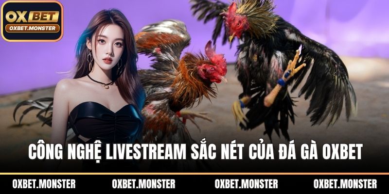 Công nghệ livestream sắc nét của đá gà OXBET