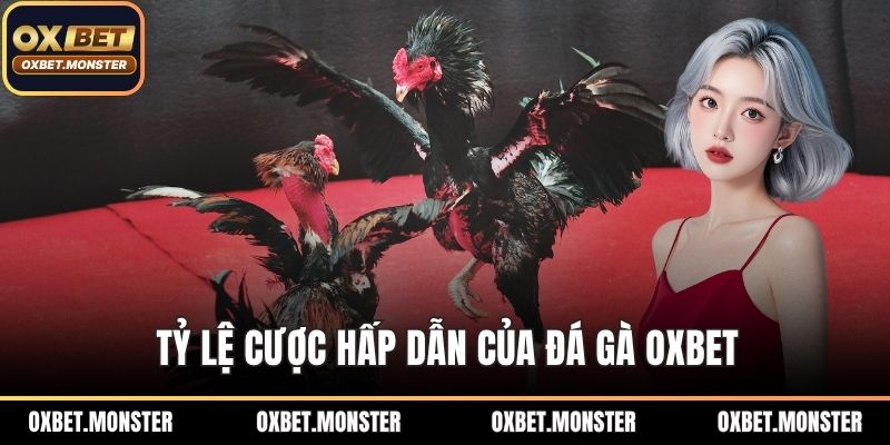 Tỷ lệ cược hấp dẫn của đá gà OXBET